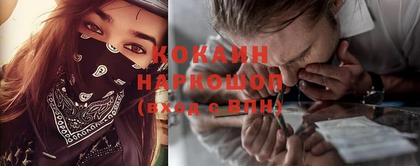 индика Аркадак