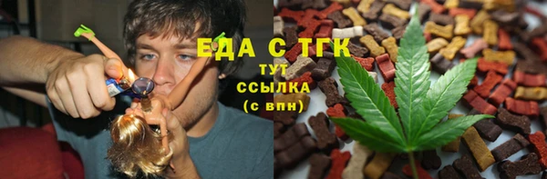 индика Аркадак
