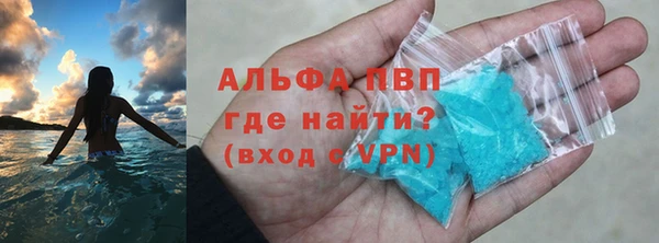 индика Аркадак