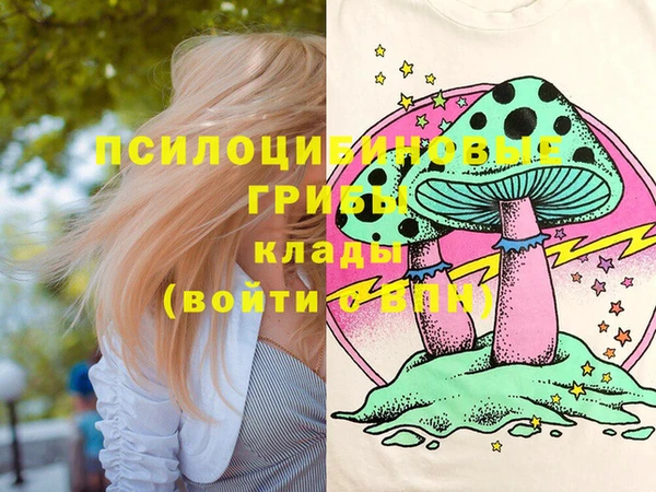 прущие крисы Арсеньев