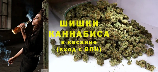 индика Аркадак