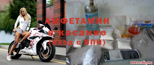 индика Аркадак