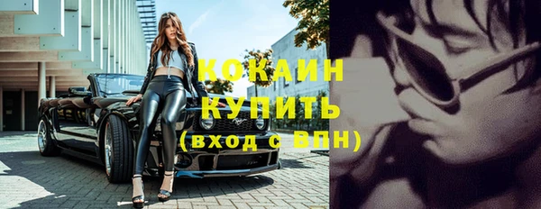 индика Аркадак
