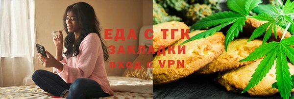 индика Аркадак